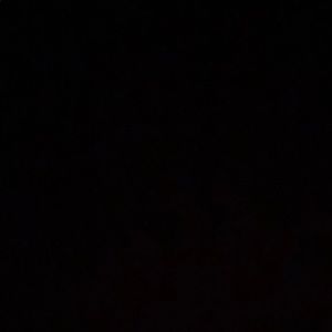 Meet your Posher, Isabelle